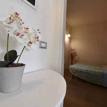 Apartment Margherita House